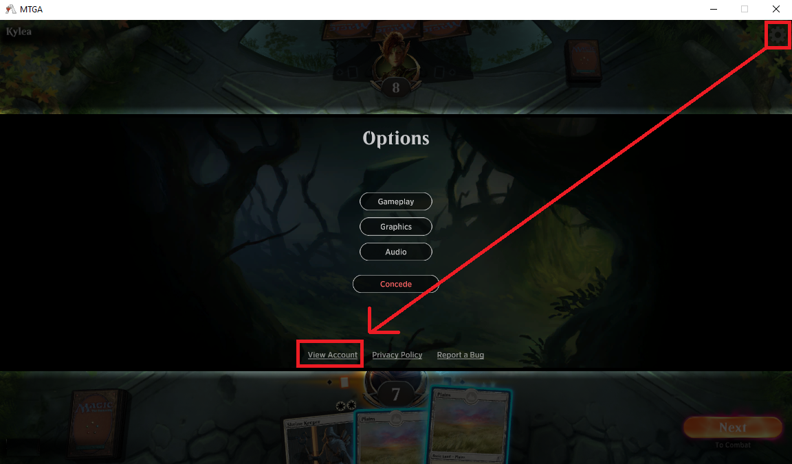 Options_screen_UPDATED.png